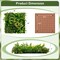 Costway 2 Pack Square Framed Artificial Foliage Wall Art with 11 Types of Mixed Faux Plants